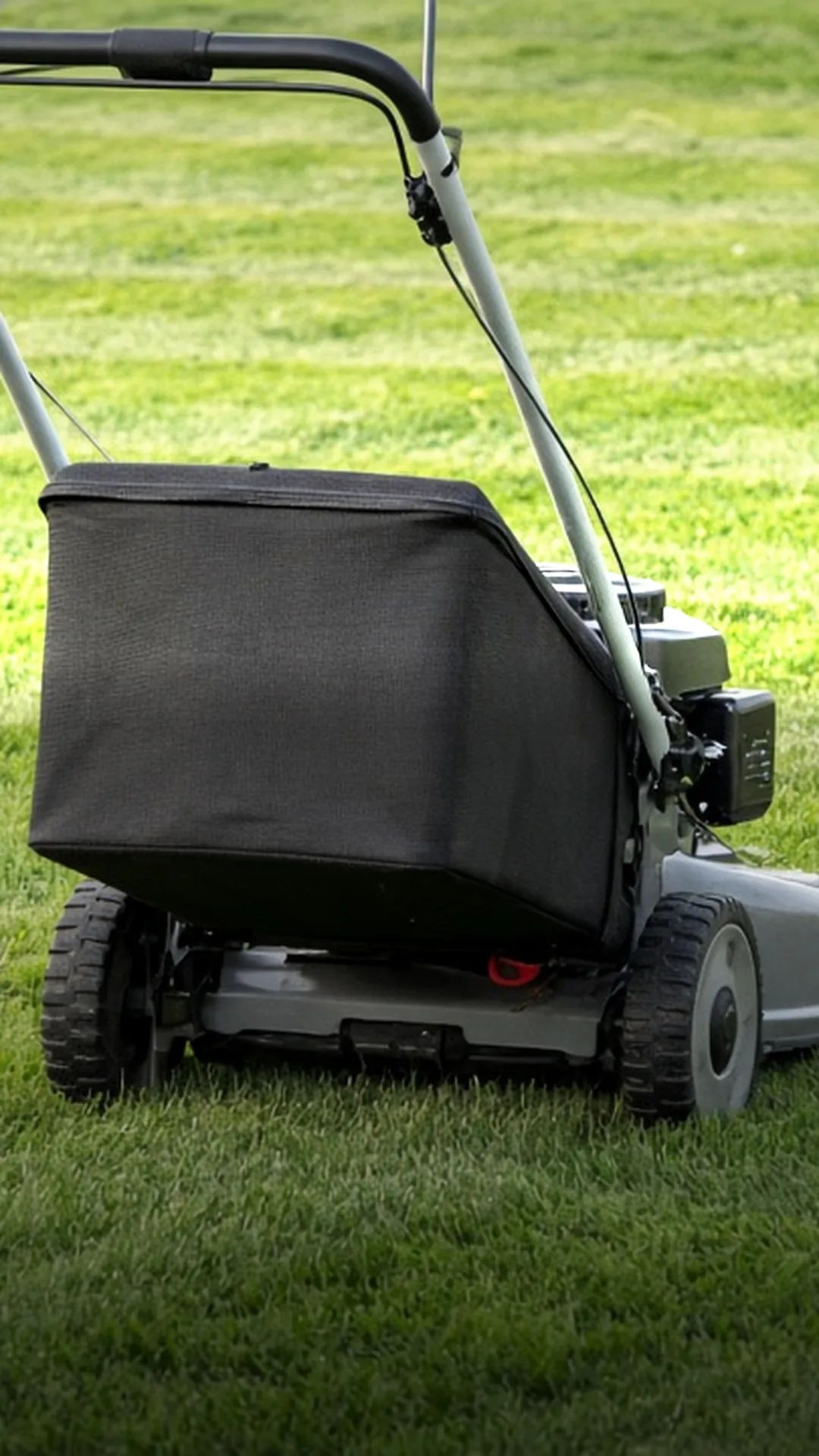A walk-behind mower with a grass catcher on a striped lawn